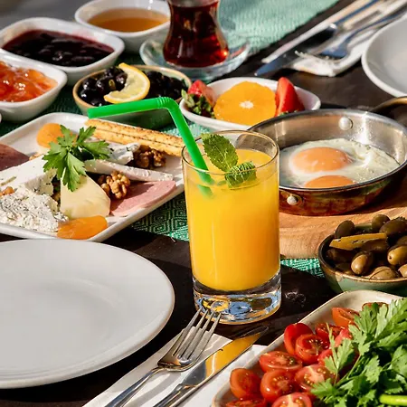 Otel Adasya